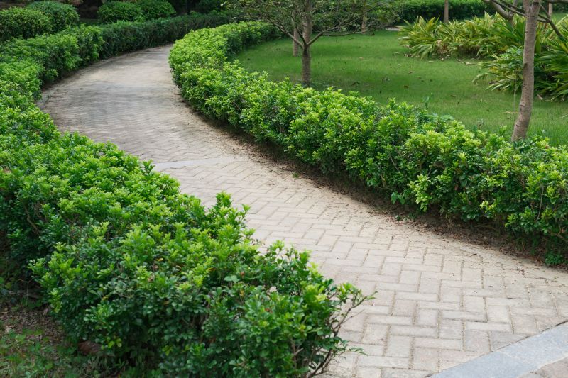 Paver patio with landscaped surroundings