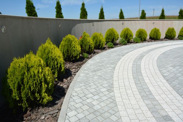 Paver Installation in Carson City