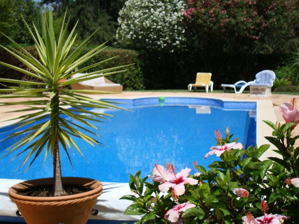 Pool Terrace Renovation in Carson City