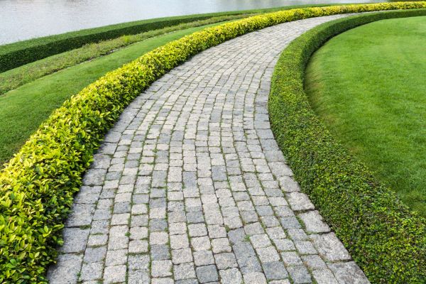 Sidewalk Pavers Installation in Carson City